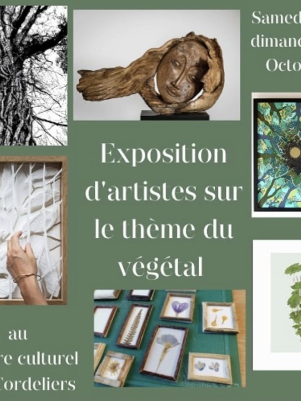 1ère édition du Festival FESTIVERDE CLISSON