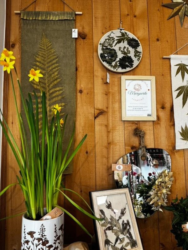 Marguerite chez Fleurs d'Ange