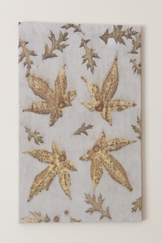 Tableau Sophia